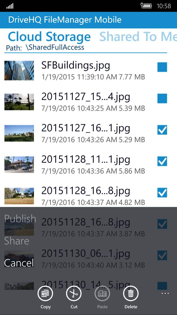 DriveHQ FileManager for Windows Mobile Phone screenshot: share, publish and access files/folders with granular access control.