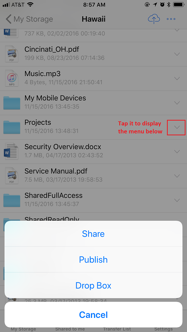 DriveHQ FileManager for iPhone screenshot -  Share, publish a folder or make a folder a Drop Box folder