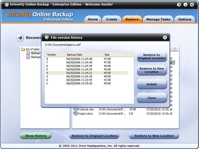 DriveHQ Online Backup screenshot - file version history